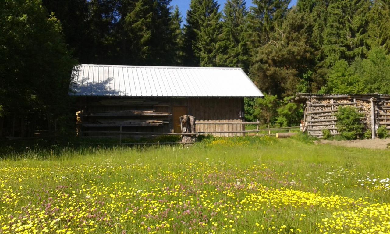 Ferienwohnung Gabi Forbach Exterior photo