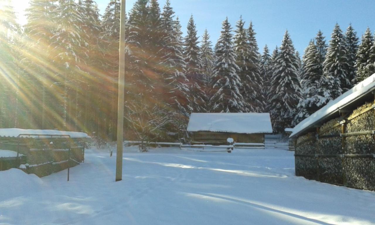 Ferienwohnung Gabi Forbach Exterior photo